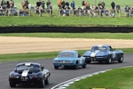 81st Members' Meeting Goodwood