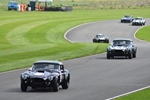 81st Members' Meeting Goodwood