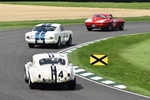 81st Members' Meeting Goodwood