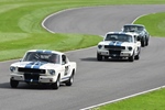 81st Members' Meeting Goodwood