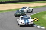 81st Members' Meeting Goodwood