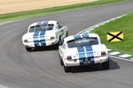 81st Members' Meeting Goodwood