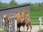EM Walhalla (Elk Merk Waardig) in Raamsdonksveer