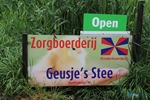 Oldtimerrit Nieuwe Tonge