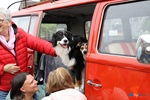 Oldtimerrit Nieuwe Tonge