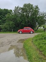 Oldtimerrit Nieuwe Tonge