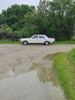 Oldtimerrit Nieuwe Tonge