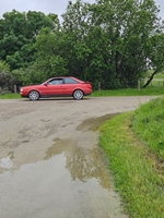 Oldtimerrit Nieuwe Tonge