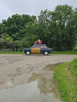 Oldtimerrit Nieuwe Tonge