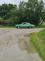 Oldtimerrit Nieuwe Tonge