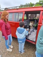 Oldtimerrit Nieuwe Tonge