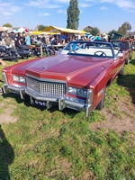 Oldtimerdag Nieuwe Tonge