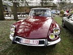 Winter Op Wielen (Brasschaat)