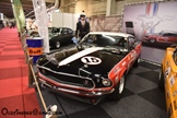 Antwerp Collection Cars