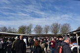 82st Members' Meeting Goodwood -  12 april 2025