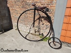 Fietsrit Boom @ Antieke Velokes