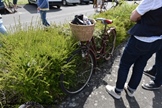 IVCA wereld oldtimerfietstreffen Sully-sur-Loir - day 1 -  29 mei 2025