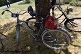 IVCA wereld oldtimerfietstreffen Sully-sur-Loir - day 1 -  29 mei 2025