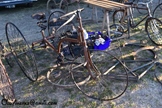 IVCA France 2025 - Bource -  30 mei 2025