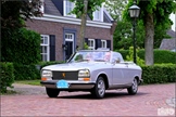 Brabantse Oldtimerdag Liempde -  9 juni 2025