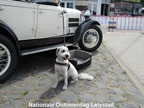 Nationale Oldtimerdag Lelystad -  15 juni 2025