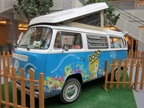 VW busjes -  19 juni 2025
