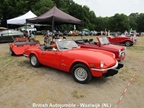 British Autojumble - Waalwijk -  22 juni 2025