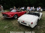 British Autojumble - Waalwijk -  22 juni 2025