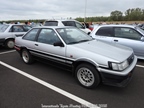 Internationale Toyota meeting Raamsdonkveer -  28 juni 2025