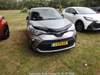 Internationale Toyota meeting Raamsdonkveer -  28 juni 2025