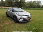 Internationale Toyota meeting Raamsdonkveer -  28 juni 2025