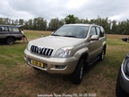Internationale Toyota meeting Raamsdonkveer -  28 juni 2025
