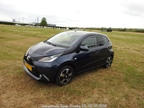 Internationale Toyota meeting Raamsdonkveer -  28 juni 2025