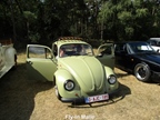 Fly In Malle -  24 augustus 2025