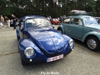 Fly In Malle -  24 augustus 2025