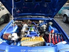 Classic Cars Peer - Opel Dag -  28 augustus 2025