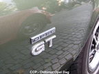 Classic Cars Peer - Opel Dag -  28 augustus 2025