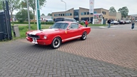 Cars & Koffie - Waalwijk -  4 mei 2024