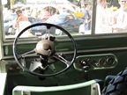 20th Antwerp Concours d'Elegance - Kasteel Belvédère (Wijnegem) -  7 september 2025