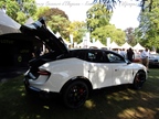 20th Antwerp Concours d'Elegance - Kasteel Belvédère (Wijnegem) -  7 september 2025