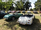 20th Antwerp Concours d'Elegance - Kasteel Belvédère (Wijnegem) -  7 september 2025
