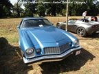 20th Antwerp Concours d'Elegance - Kasteel Belvédère (Wijnegem) -  7 september 2025