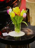 Interclassics Maastricht -  16 januari 2026