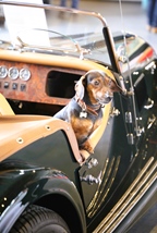 Oldtimerbeurs Genk -  28 maart 2026