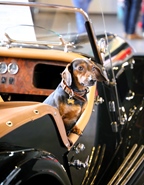 Oldtimerbeurs Genk -  28 maart 2026