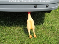EMWalhalla - Raamsdonksveer - Louwman -  9 mei 2026