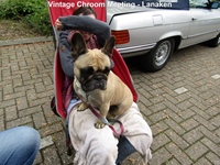 Vintage Chroom Meeting - Lanaken -  12 mei 2026