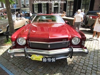 Oldtimerdag Vianen -  20 juni 2026