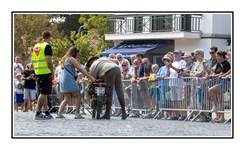 Oude Klepper Parade De Haan -  16 augustus 2026