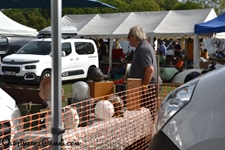 International Autojumble Beaulieu -  12 september 2026